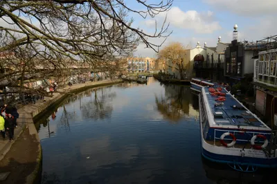 DSC_1385 (Large).JPG